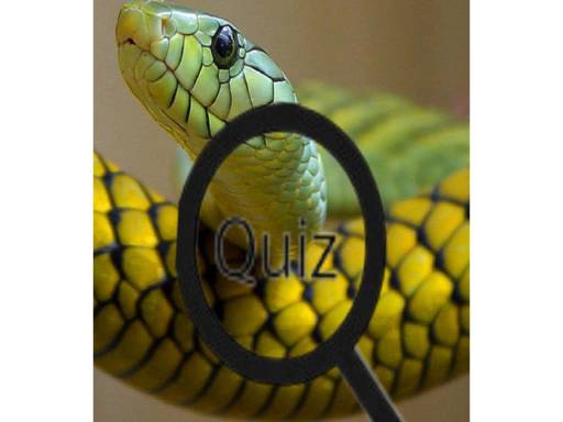 wildlife-animal-triviatest-your-knowledge